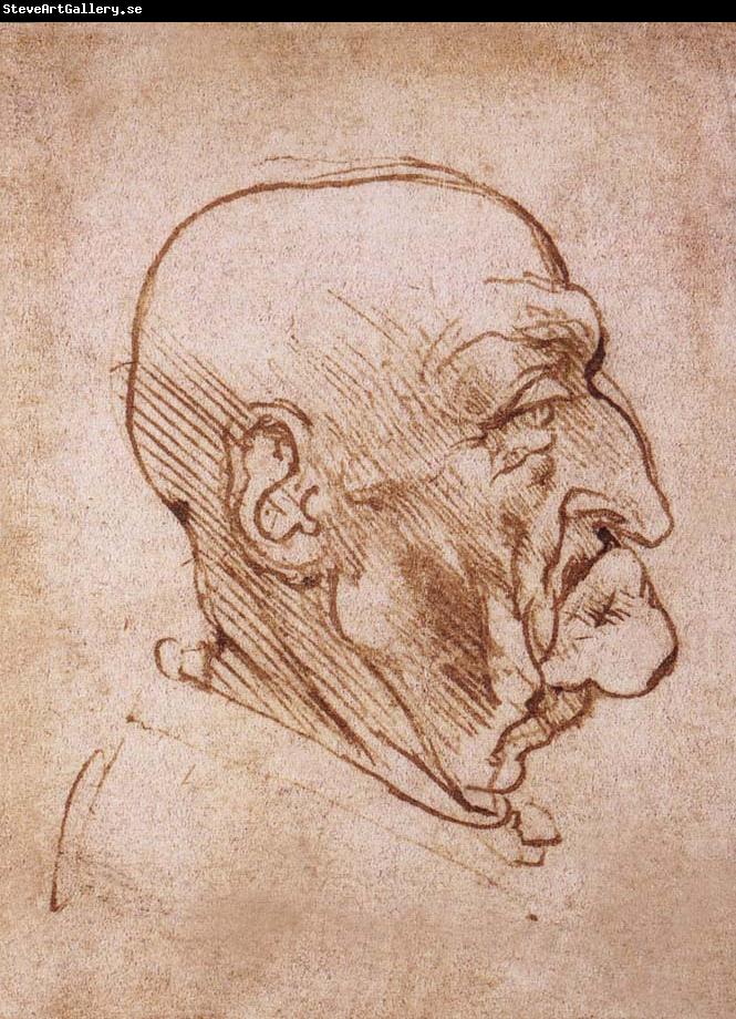 LEONARDO da Vinci Profile of an old man